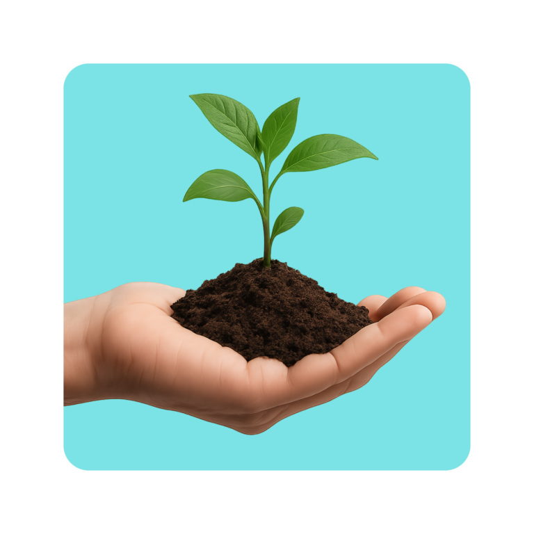 Spark Connect The Digital Growth Agency for Care Homes & Care Agencies